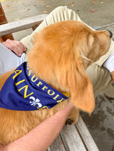 Load image into Gallery viewer, Pet Bandana
